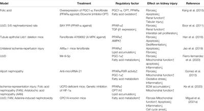 Fatty Acid β-Oxidation in Kidney Diseases: Perspectives on Pathophysiological Mechanisms and Therapeutic Opportunities